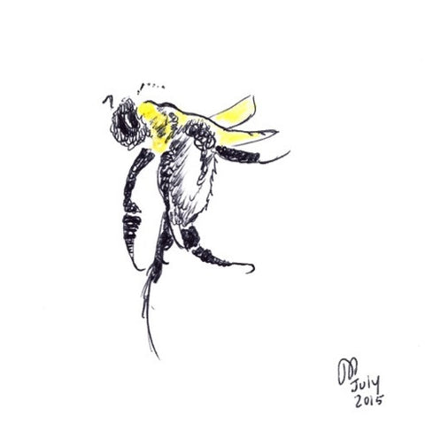Bee - May we Dance?