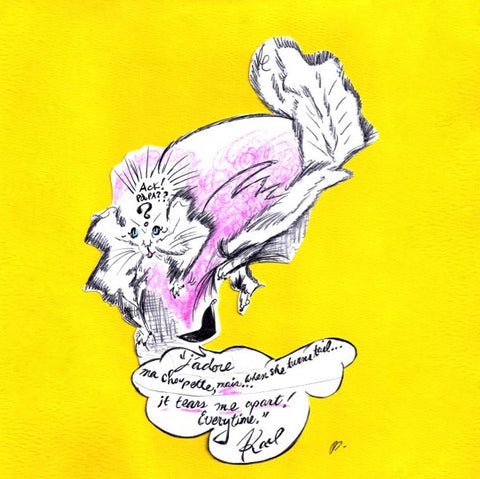 Choupette upsets Karl Lagerfeld